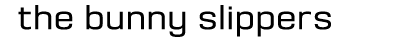 Bunny Slippers